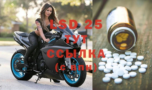 прущие грибы Липки