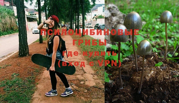 гидропоника Лабытнанги