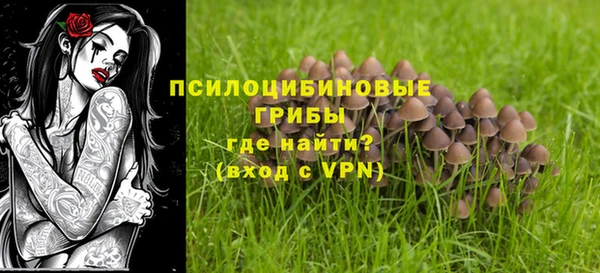 гидропоника Лабытнанги