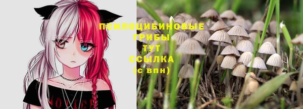 амфетамин Ладушкин
