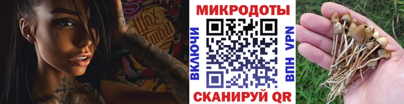 Галлюциногенные грибы прущие грибы  закладки  Льгов 